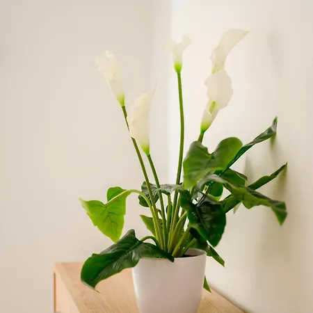 Rum i privatbostad F8-1 Spacious *