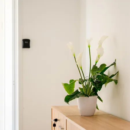 Homestay F8-1 Spacious