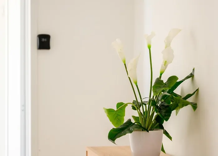 Alloggio in famiglia F8-1 Spacious